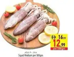 Safeer Market Squid Medium offer