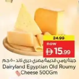 Nesto Dairyland Egyptian Old Roumy Cheese offer