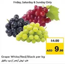Nesto Grape White/Red/Black offer