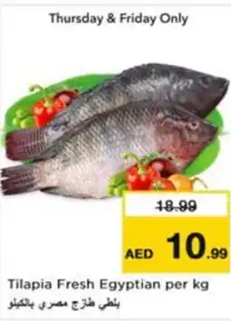 Nesto Tilapia Fresh Egyptian offer