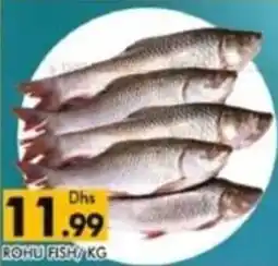 Al Madina Romu fish offer