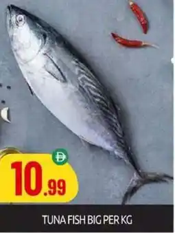 Bigmart Tuna fish big offer