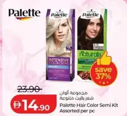Lulu Hypermarket Palette hair color semi kit assorted offer