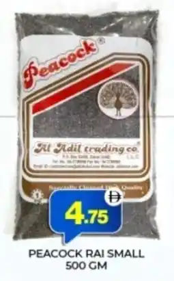 Al Adil Peacock rai small offer