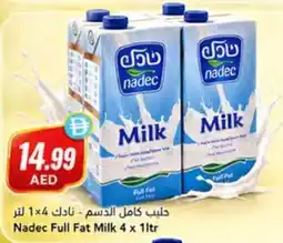Almaya supermarket Nadec Full Fat Milk offer