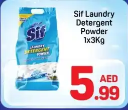 Day To Day Sif Laundry Detergent Powder offer