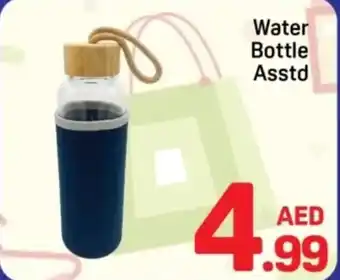 Day To Day Water Bottle Asstd offer