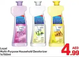 Day To Day Loyal Multi-Purpose Household Deodorizer offer