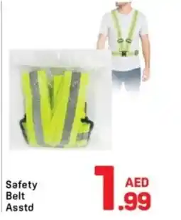 Day To Day Safety Belt Asstd offer
