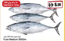 Almaya supermarket Tuna Medium offer