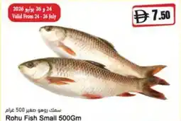 Almaya supermarket Rohu Fish Small offer