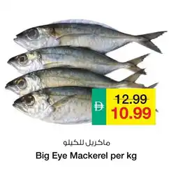 Safeer Market Big Eye Mackerel offer