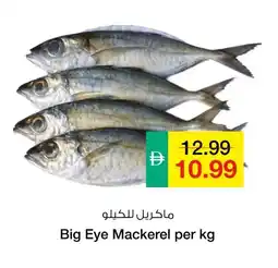 Safeer Market Big Eye Mackerel offer