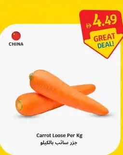 SAVA Carrot Loose offer