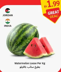 SAVA Watermelon Loose offer