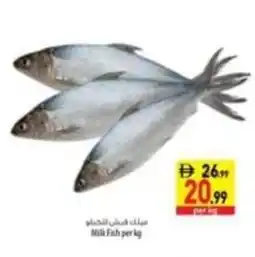 Safeer Market Milk Fish offer