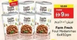 Nesto Farm Fresh Foul Medammas offer