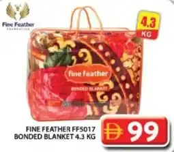 Grand Hyper Market Fine feather bonded blanket offer