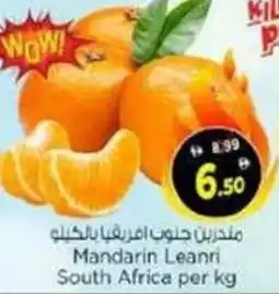Nesto Mandarin leanri south africa offer