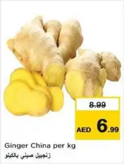 Nesto Ginger china offer