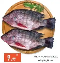 Rawabi Market Fresh tilapia fish offer