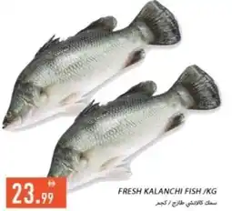 Rawabi Market Fresh kalanchi fish offer
