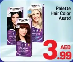 Day To Day Palette Hair Color Asstd offer