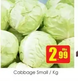 Amber Cabbage small offer