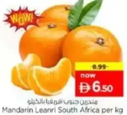 Nesto Mandarin Leanri South Africa offer