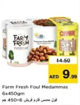 Nesto Farm Fresh Foul Medammas offer