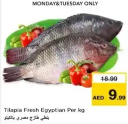 Nesto Tilapia Fresh Egyptian offer