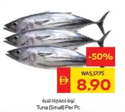 Abu Dhabi Coop Tuna (Small) offer