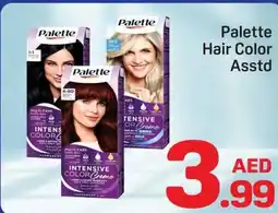 Day To Day Palette hair color asstd offer