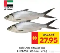 Abu Dhabi Coop Fresh Milk Fish, UAE offer