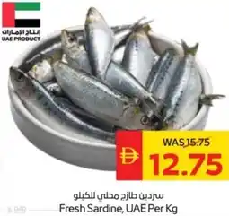Abu Dhabi Coop Fresh Sardine, UAE offer