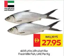 Spar Fresh Milk Fish offer