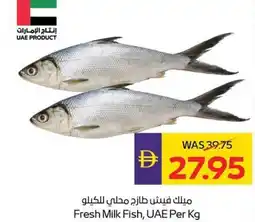 Abu Dhabi Coop Fresh milk fish offer