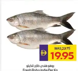 Abu Dhabi Coop Fresh roho offer
