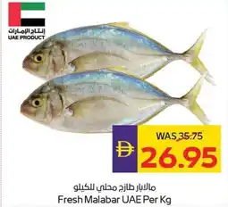 Abu Dhabi Coop Fresh malabar offer