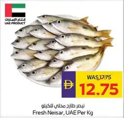 Abu Dhabi Coop Fresh neisar offer