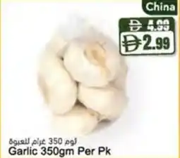 Almaya supermarket Garlic offer
