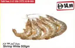 Almaya supermarket Shrimp White offer