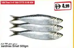 Almaya supermarket sardines Small offer