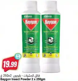 Almaya supermarket Baygon Insect Powder offer