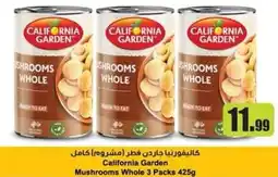Istanbul Supermarket California Garden Mushrooms Whole offer