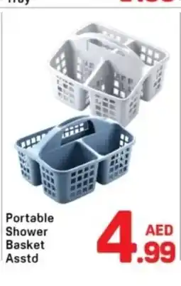 Day To Day Portable shower basket asstd offer