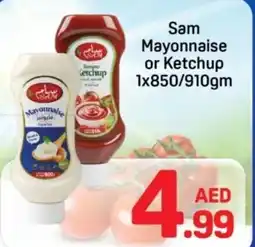 Day To Day Sam mayonnaise or ketchup offer
