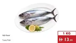Istanbul Supermarket Tuna Fish offer