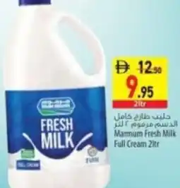 Safeer Market Marmum fresh milk full cream offer