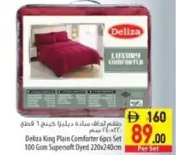 Safeer Market Deliza king plain comforter set offer